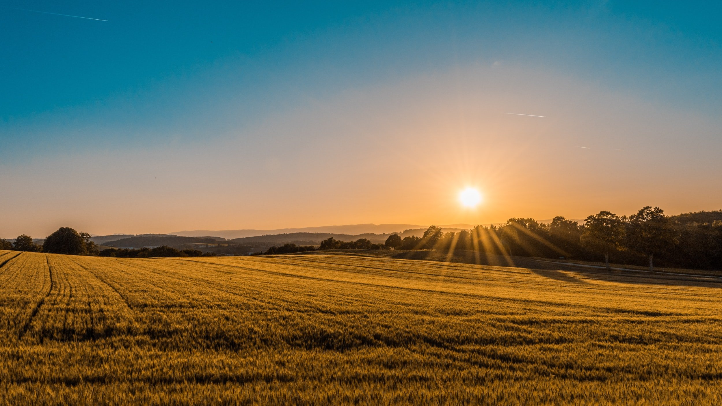 Sunrise over open farmland
